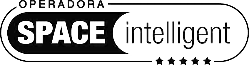 Logo Space Intelligent